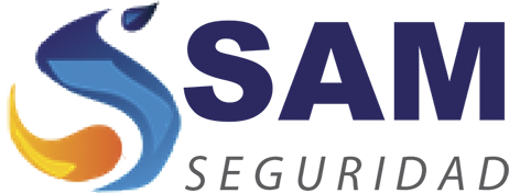 SSAM